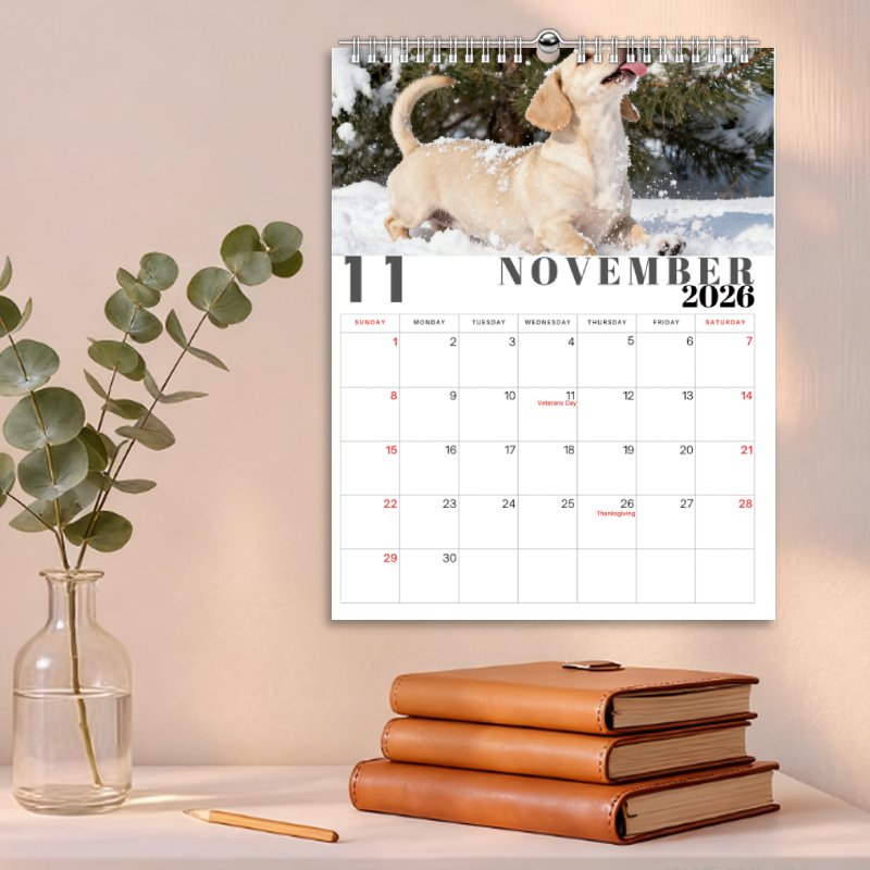 Calendario de pared de perro salchicha 2026 - 1 unidad (28 x 21 cm) | Calendario de doce meses | Materiales duraderos y alta calidad de impresión | Regalo perfecto para familiares y amigos | Ideal para Navidad y cumpleaños