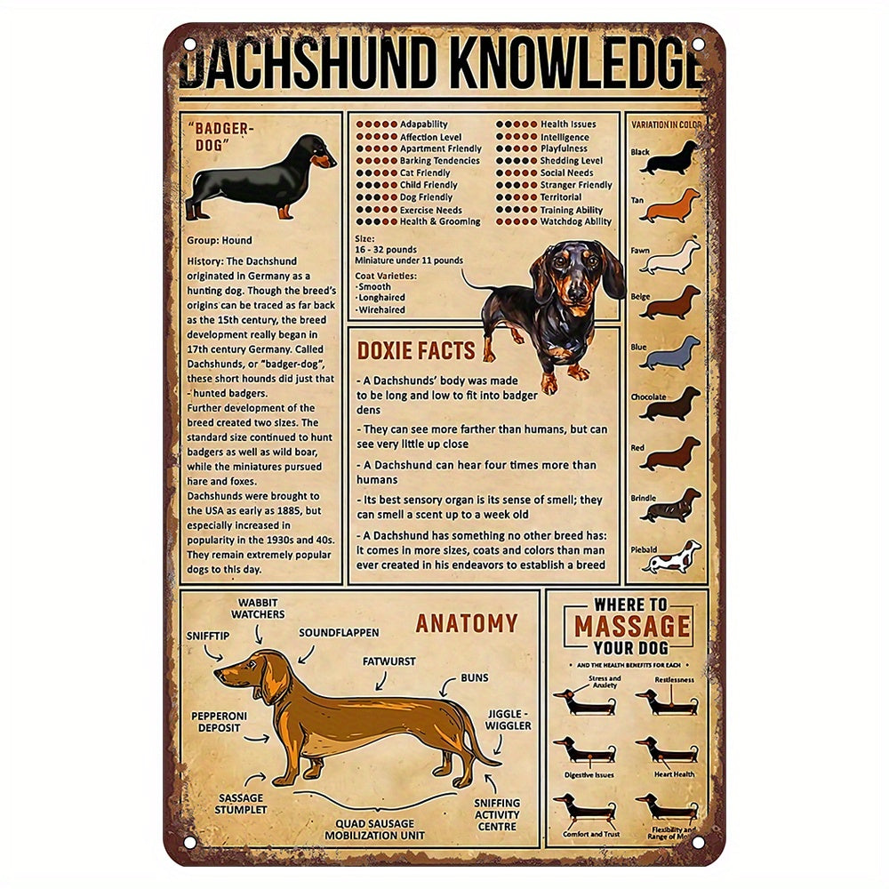 Dachshund Knowledge Vintage Metal Sign – Educational Doxie Anatomy & Facts Wall Art