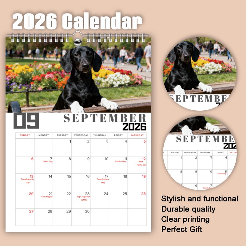 2026 Dachshund Wall Calendar - 1pc (11 X 8.2 Inches) | Twelve-Month Calendar | Durable Materials & High Printing Quality | Perfect Gift for Family & Friends | Christmas & Birthday Present Idea