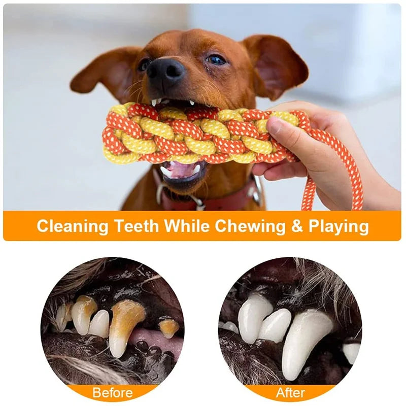 Tough-Tug Cotton Rope Dog Toy – Durable Interactive Chew & Dental Cleaner