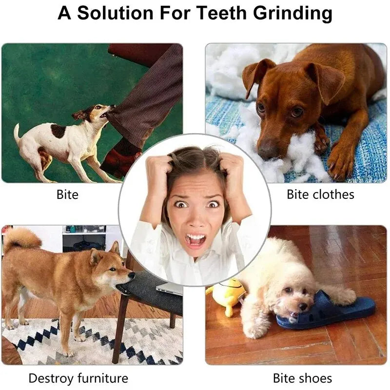 Interactive Dental Treat Ball – Durable Bite-Resistant Rubber Slow Feeder for All Dogs