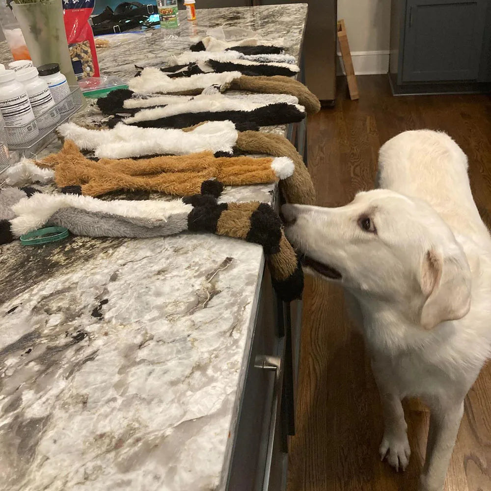 Juguete para perros Crinkle Critter sin relleno: peluche chirriante y sin ensuciar para todas las razas