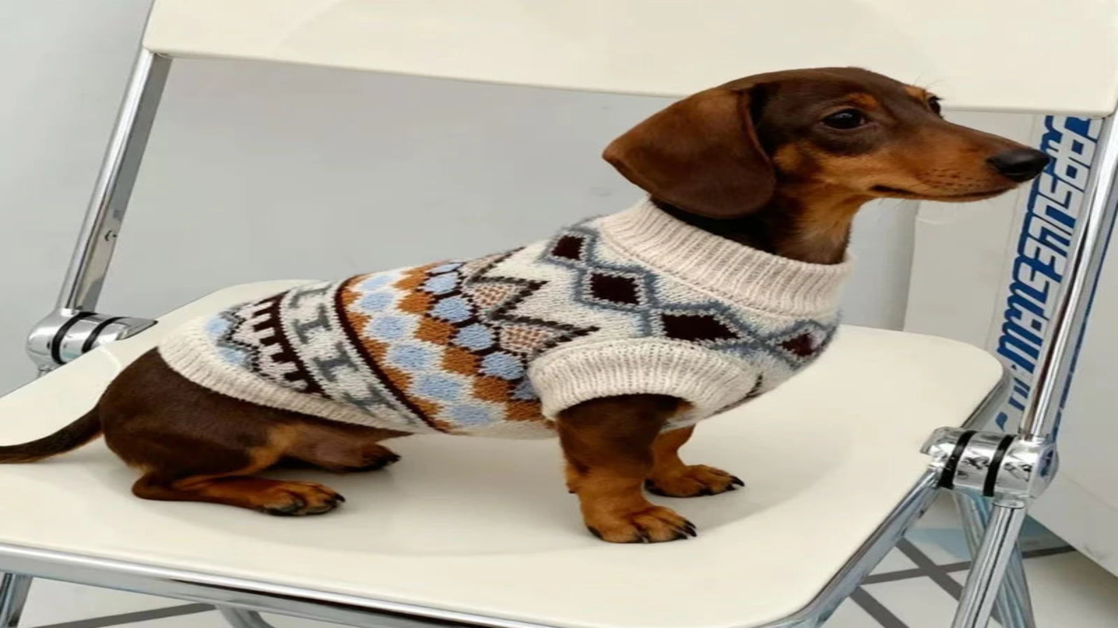 Bohemia Sweater for Wiener Dogs Autumn Hand-knitted Soft Coat for Badger Dogs Thick Warm Loungewear for Dachshund Small Mid Dogs