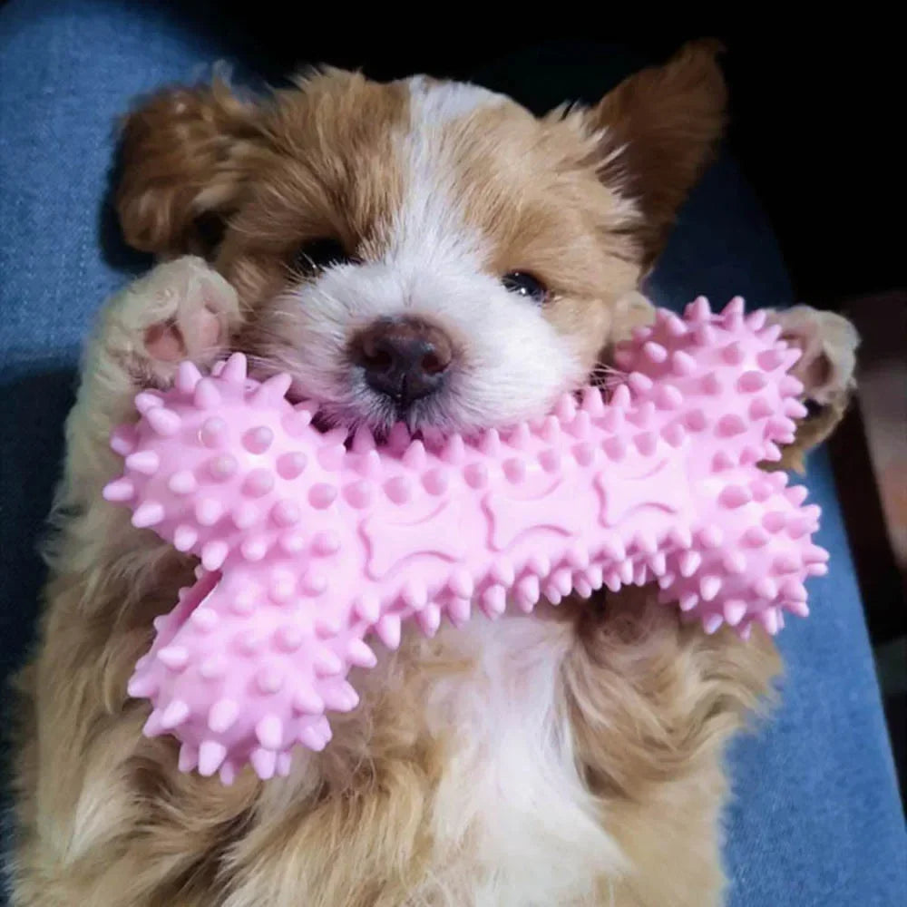 Durable Bone Teether & Dental Dog Toy – Bite-Resistant Soft Rubber Chew for Small Dogs