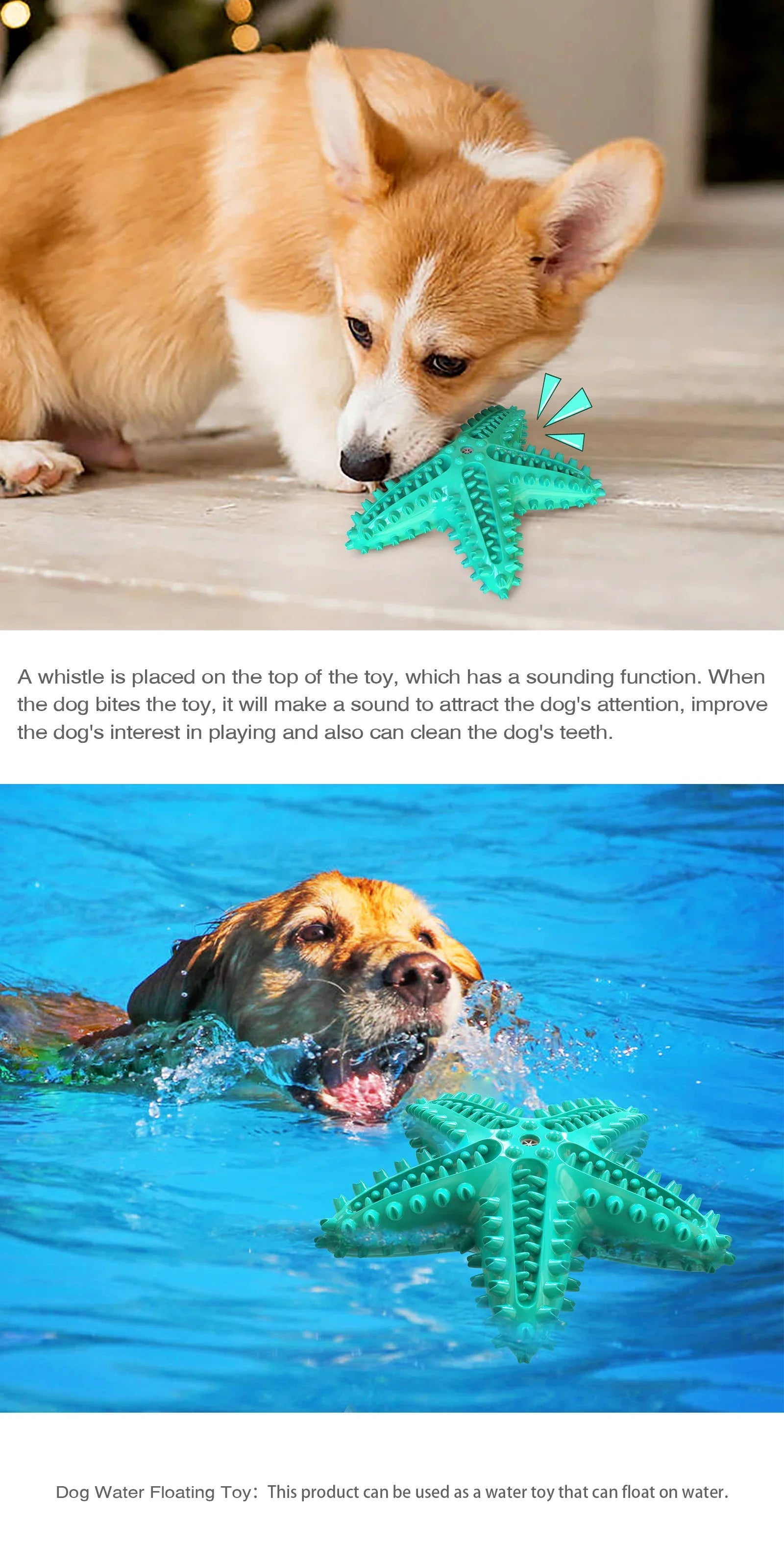 Interactive Starfish Dental Chew – Heavy-Duty Squeaky TPR Toy for Large Dogs
