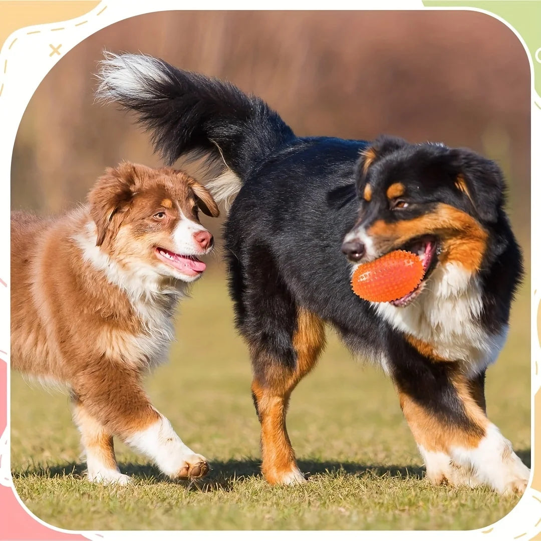 Juguete de fútbol con pinchos y chirriante para perros: masticable de goma resistente para la salud dental y el juego interactivo.