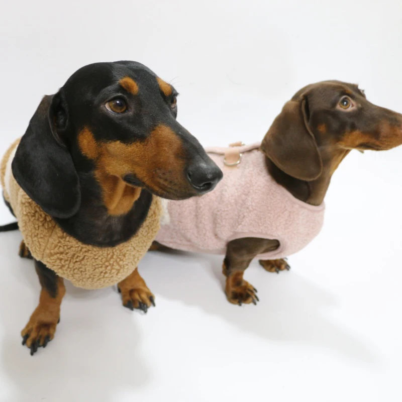 Dachshund Berber Fleece Vest – Warm Winter Sweatshirt for Small Dogs