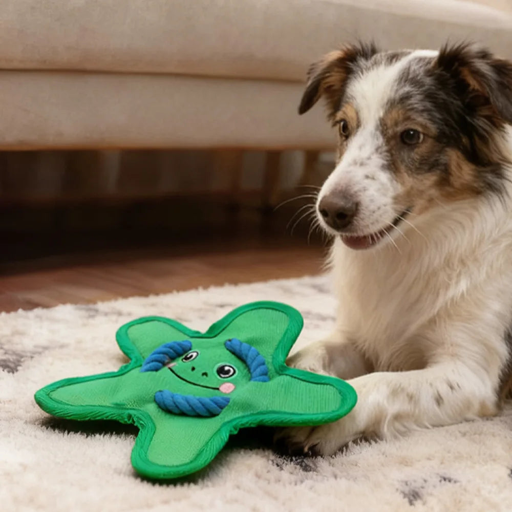 "Crinkle-Crunch" Heavy Duty Star Dog Toy – Squeaky Oxford Cloth Interactive Toy