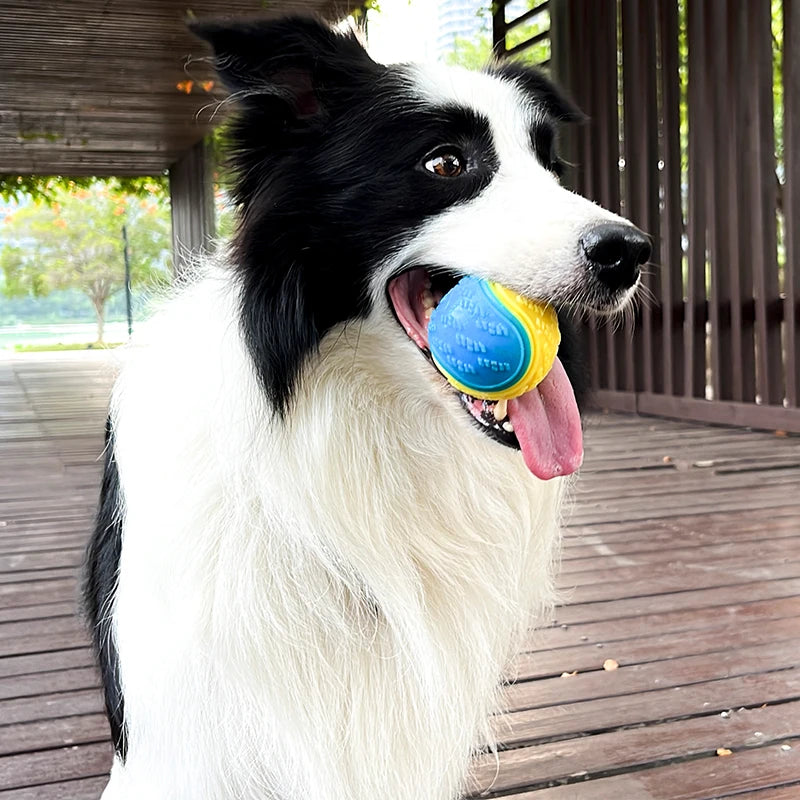 Pelota dental chirriadora Tough-Teeth: juguete duradero para perros
