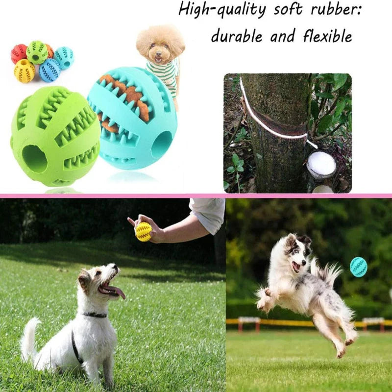 Interactive Dental Treat Ball – Durable Bite-Resistant Rubber Slow Feeder for All Dogs
