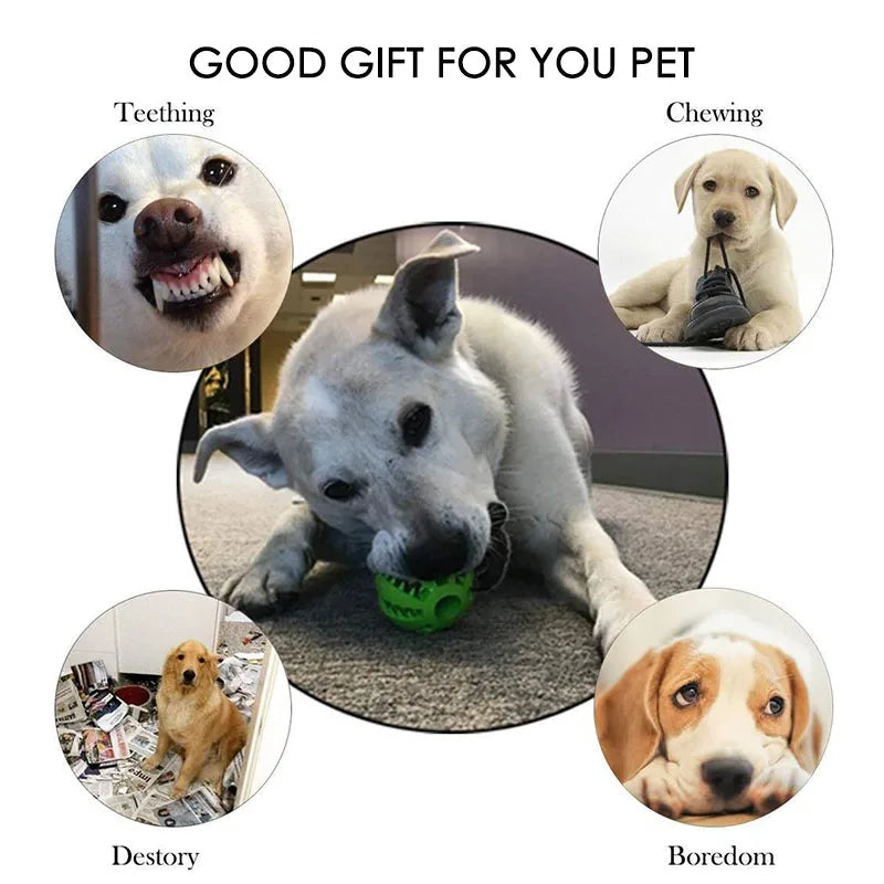 Interactive Dental Treat Ball – Durable Bite-Resistant Rubber Slow Feeder for All Dogs