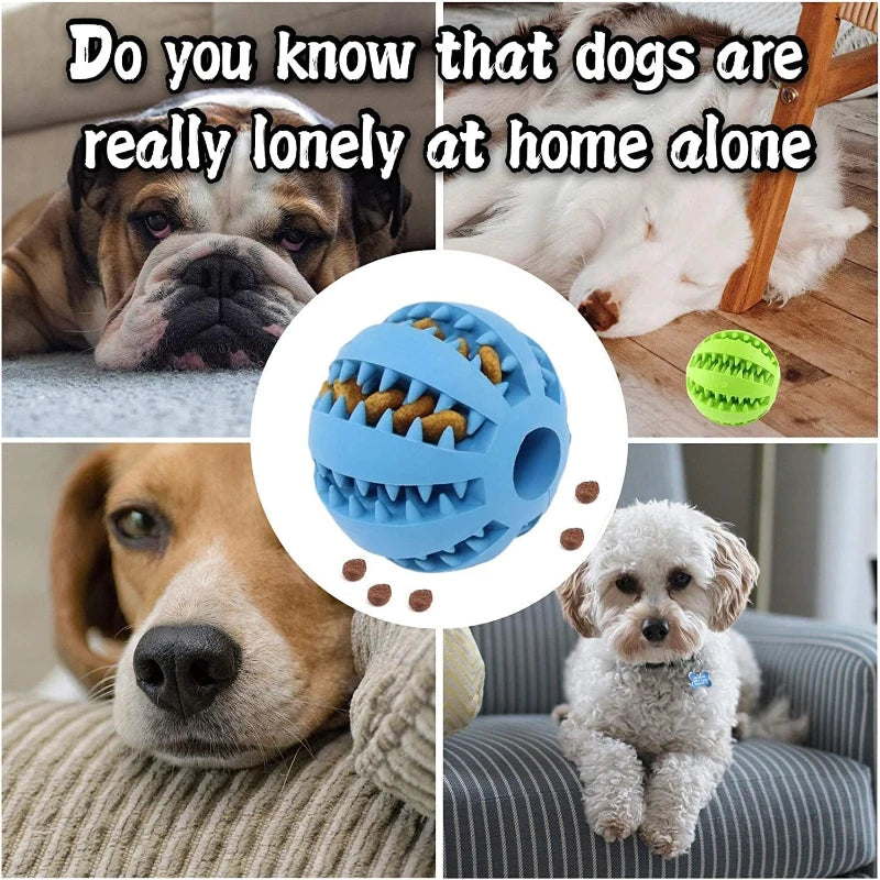 Interactive Dental Treat Ball – Durable Bite-Resistant Rubber Slow Feeder for All Dogs