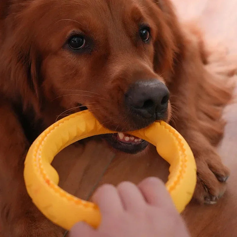 Floating Indestructible Dog Ring – Durable Interactive Fetch & Water Training Toy