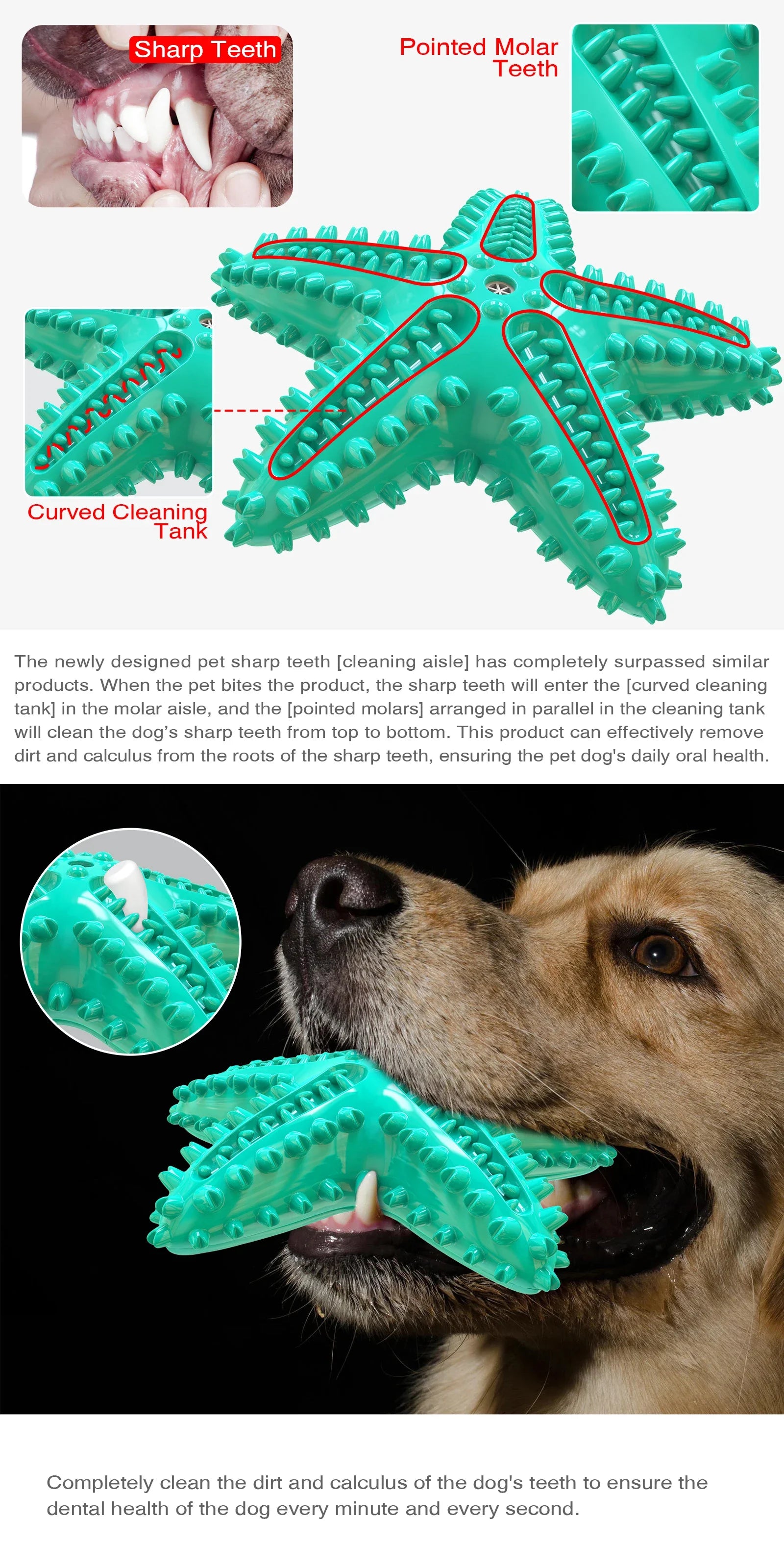 Interactive Starfish Dental Chew – Heavy-Duty Squeaky TPR Toy for Large Dogs