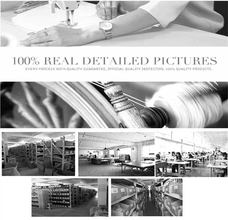 Dachshund Cute Dog T-shirt for Women Short Sleeve Casual Tops Ladies