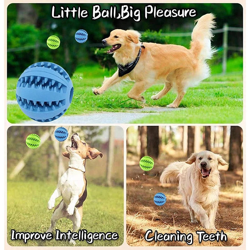 Interactive Dental Treat Ball – Durable Bite-Resistant Rubber Slow Feeder for All Dogs